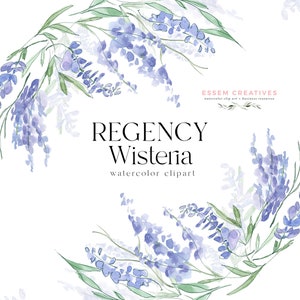 Clipart floral de glicínias de regência, clipart de guirlanda em aquarela, gráficos de sublimação de moldura de flor, buquê PNG, arte de linha delicadas bordas delicadas