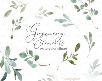 Watercolor Euclayptus Leaves Clipart, Greenery Elements Graphics for Logo Branding Wedding Invitation Card Bridal or Baby Shower Designs