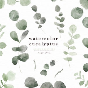 Watercolor Eucalyptus Leaf Clipart, Green Leaves Branch Border Greenery, Sage Natural Botanical Illustration Wedding Clipart Vintage Rustic
