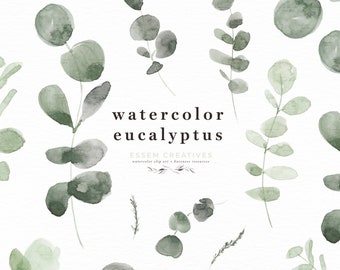 May include: Watercolor illustration of eucalyptus leaves in shades of green. The illustration is on a white background and includes the text "watercolor eucalyptus" and "ESSEM CREATIVES watercolor clip art - business resources".