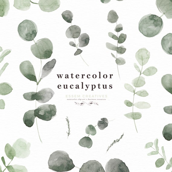 Watercolor Eucalyptus Leaf Clipart Green Leaves Branch Border | Etsy