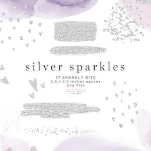 Zilveren Sparkle Glitter Clipart Overlay, Zilverfolie Confetti Hart Penseelstreek Rechthoek Brush Mark Sublimatie PNG Logo Branding Abstract