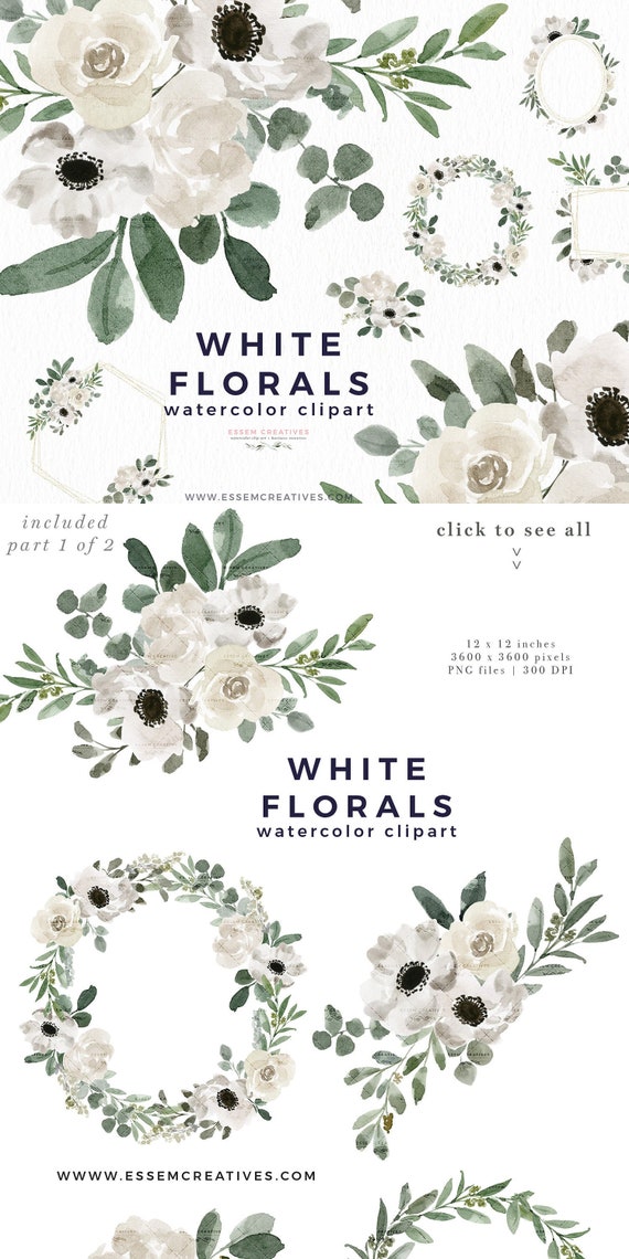 White Watercolor Flowers Clipart Floral Watercolor Clipart | Etsy