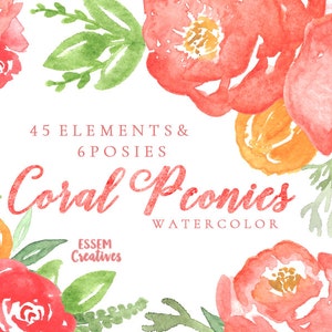 Koralle Aquarell Pfingstrosen Clipart, Muttertagsgeschenk Karte Clipart, Gemalte Aquarell Blume Pfingstrosen, pink, orange, Hochzeitseinladung