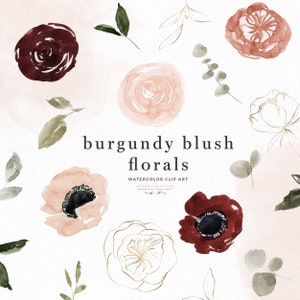 Bourgogne Blush fleurs séparées Clipart, graphiques floraux Boho, aquarelle pivoine Dahlia jardin Rose PNG, rustique automne Marsala graphiques imprime