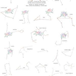 May include: A set of 12 floral constellation illustrations featuring rose gold zodiac signs. Each constellation is depicted with a watercolor floral arrangement and the name of the zodiac sign.