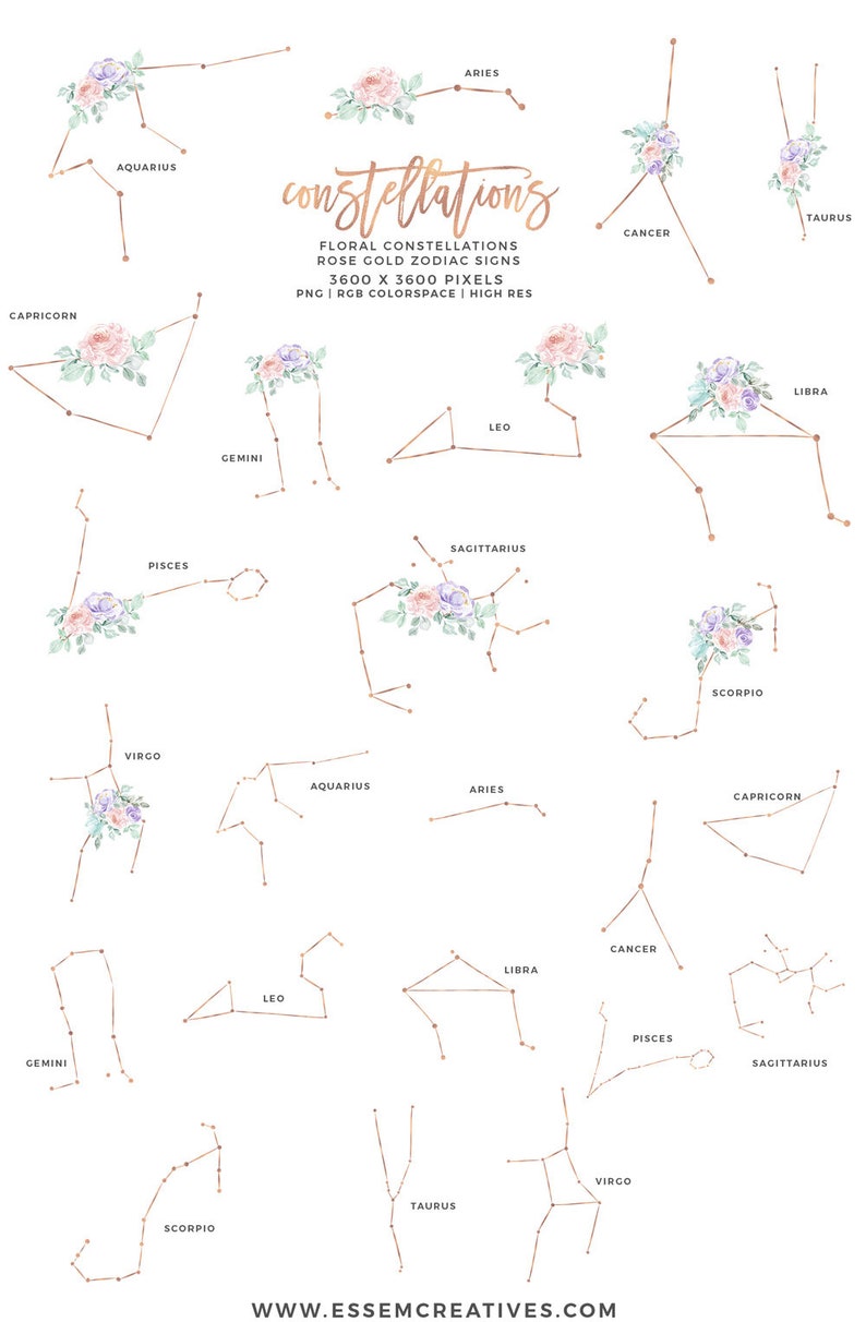 May include: A set of 12 floral constellation illustrations featuring rose gold zodiac signs. Each constellation is depicted with a watercolor floral arrangement and the name of the zodiac sign.