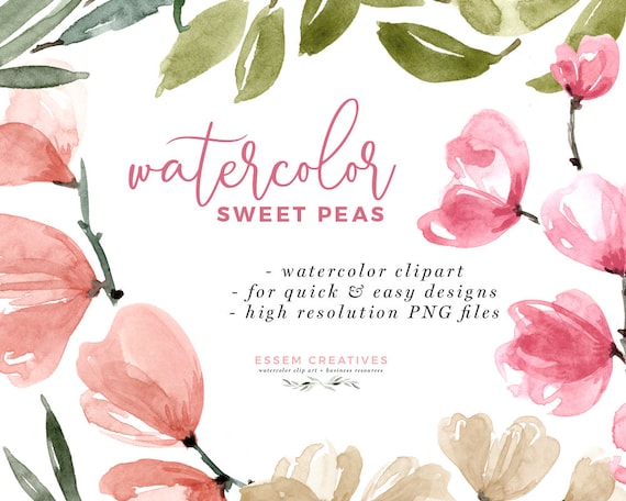 Watercolor Sweet Peas Clipart Floral Invitation Background Etsy