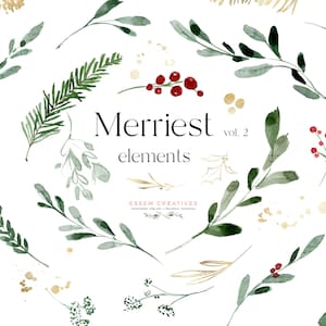 Watercolor Christmas Clipart, Christmas Branches Leaves Fir Pine Mistletoe, Holiday Clip Art, Winter Greenery PNG, Festive Card Elements