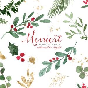 Imágenes prediseñadas de Navidad de acuarela, follaje de hojas de Navidad, imágenes prediseñadas navideñas, vegetación de invierno PNG Holly Jolly muérdago, ramas de eucalipto
