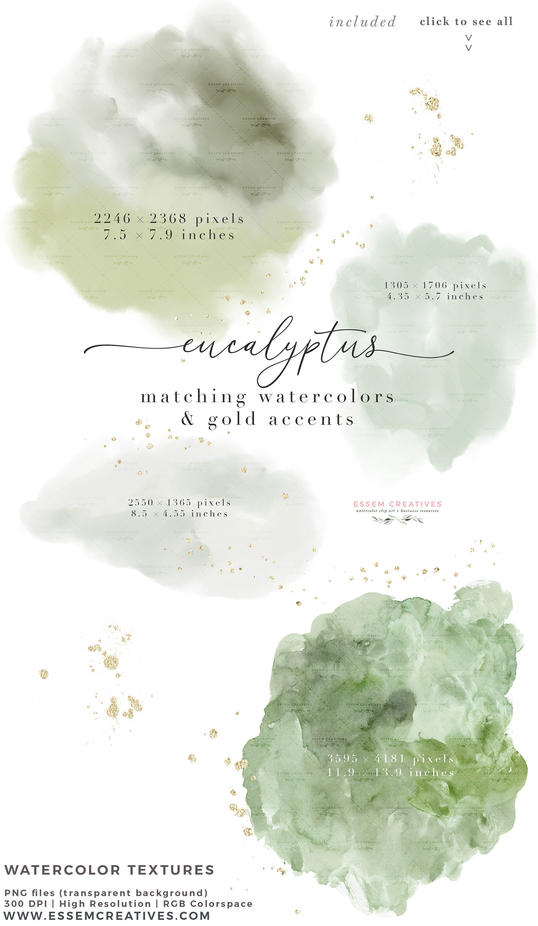 Watercolor Eucalyptus Clipart, Greenery Foliage Separate Leaves ...