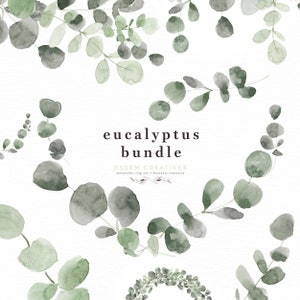 Aquarelle Eucalyptus couronne Clipart, Floral frontière verdure feuille feuilles, feuilles séchées mariage Clipart coin cadre vintage impression rustique PNG