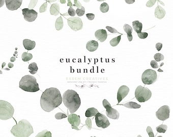 Watercolor Eucalyptus Wreath Clipart, Floral Border Greenery Leaf Leaves, Dried Leaves Wedding Clipart Corner Frame Vintage Rustic Print PNG