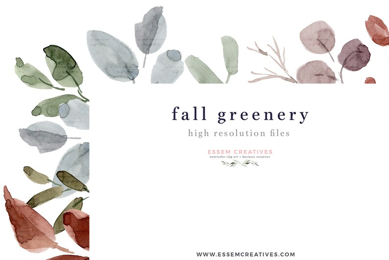 May include: Watercolor illustrations of fall foliage in shades of brown, gray, and green. The leaves are arranged in a border around the text "fall greenery high resolution files" and the text "ESSEM CREATIVES watercolor clip art & digital templates" with the website address "www.essemcreatives.com".