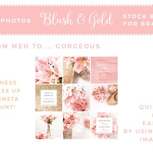 May include: Nine images in a blush and gold theme, including floral arrangements and text overlays. Text includes "15 Photos", "Blush & Gold", and "Stock Bundle for Branding". The images are designed for Instagram use.