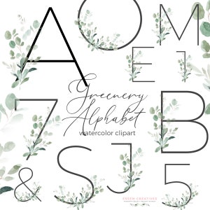 Groen en zwarte aquarel bloemen alfabet clipart neutrale eucalyptus alfabet clip art letters cijfers nummer lettertype grafische sublimatie PNG