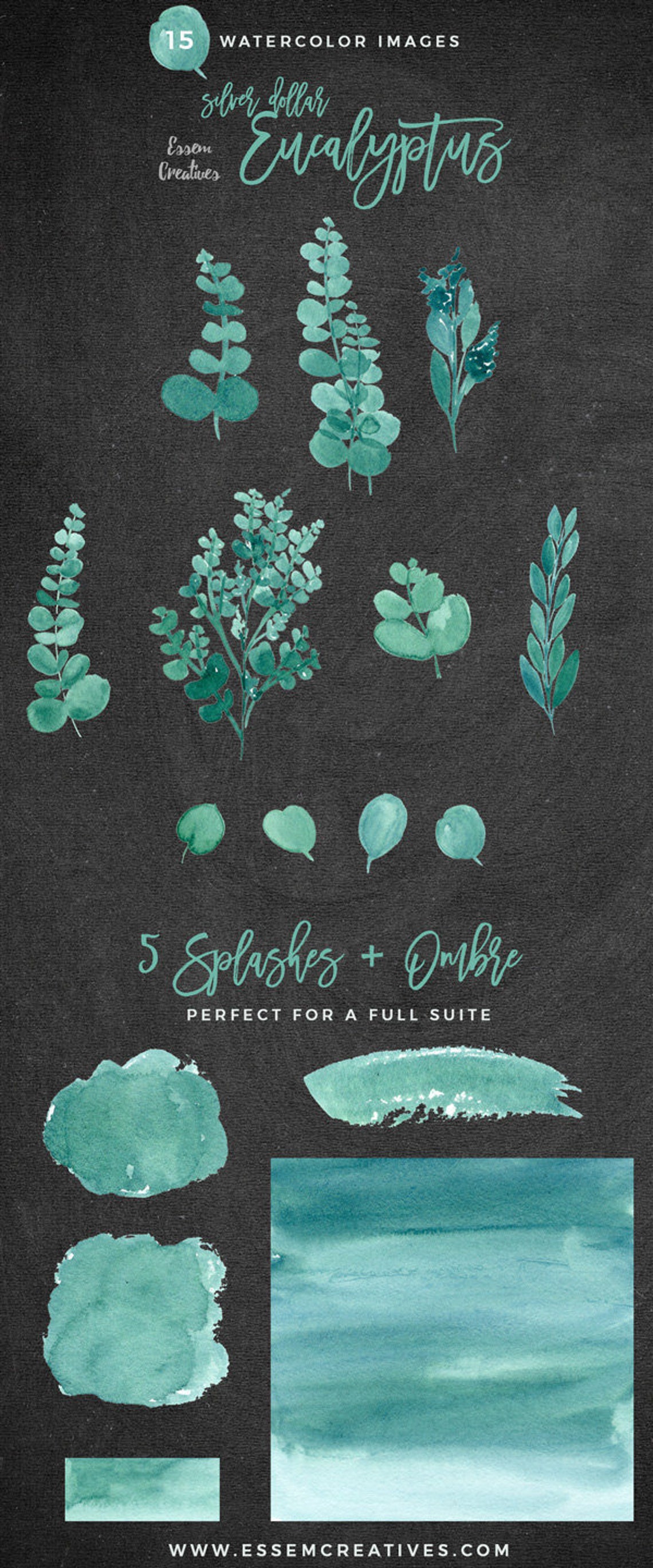 Eucalyptus Clipart Watercolor Leaves Clip Art Greenery - Etsy