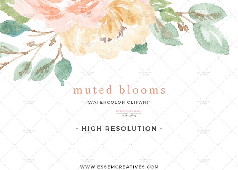 Aquarelle Fleurs Clipart, Fleurs en sourdine Printemps Floral Aquarelle Clip art, Cadres floraux numériques Graphiques, Pêches et Bordure de pivoine crème image 3