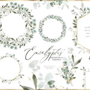 Aquarel Eucalyptus Krans Clipart, Eucalyptus Frame Clip Art, Gebladerte Groen Licht Bladeren Goud voor Bruiloft Clipart, Frame Grens PNG