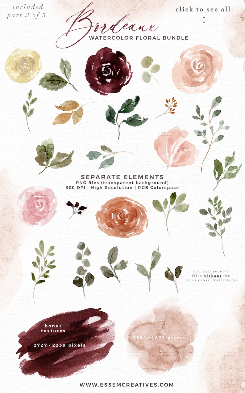 Burgundy Watercolor Floral Clipart, Fall Flowers Clip Art, Rustic Peonies Roses Marsala Maroon Peach Bouquets Frame Wreaths Seamless Pattern image 6