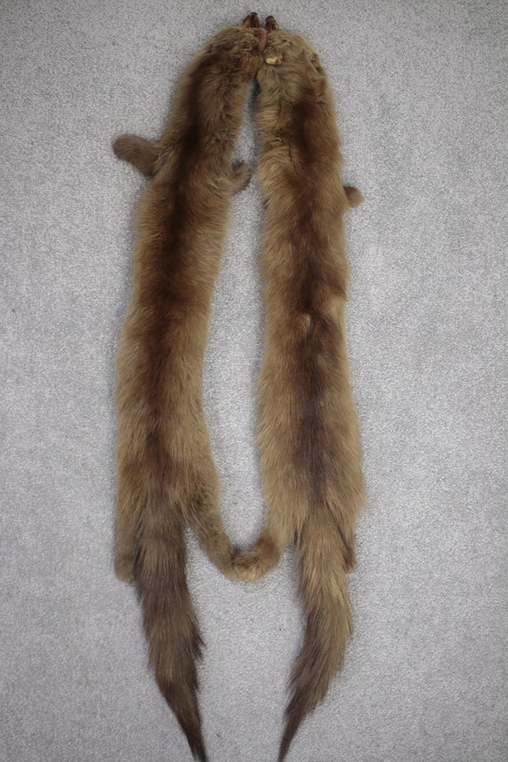 1930s-1940s sable fur stole with taxidermy {Vinta… - image 5