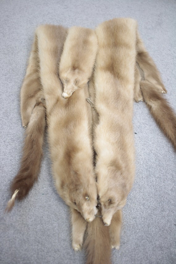 1940s-1950s blonde mink fur stole {Vintage mink f… - image 7