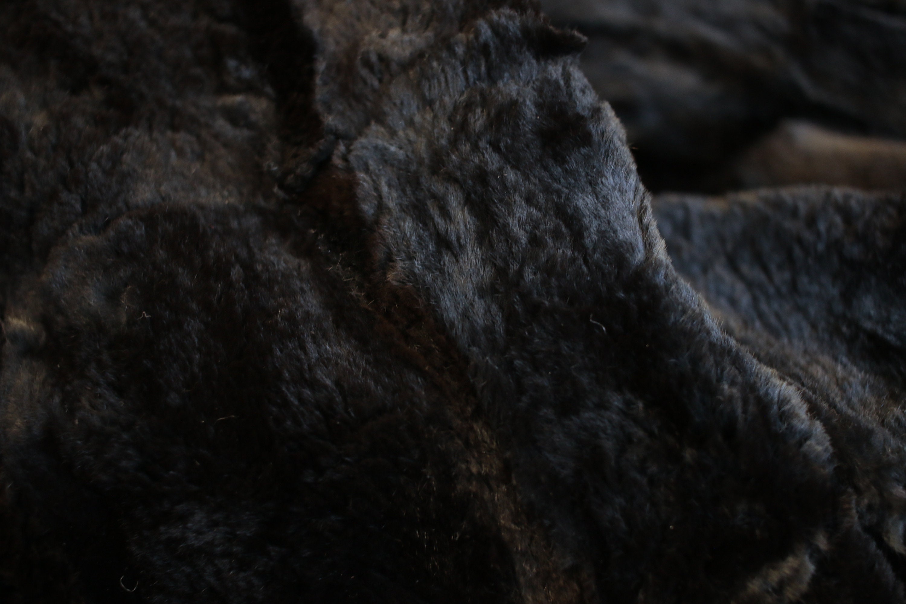 Size SM 1930s midnight black mole fur coat Real Etsy