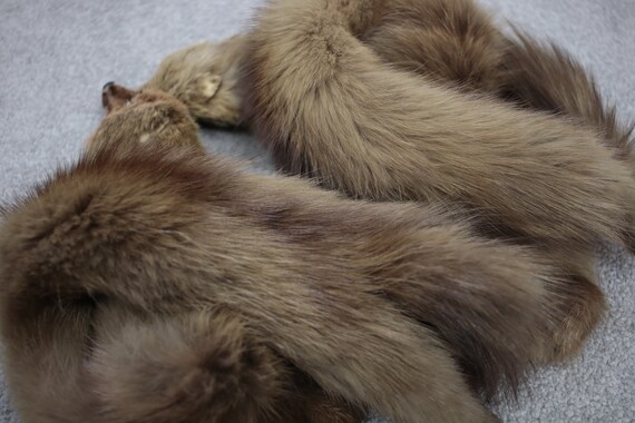 1930s-1940s sable fur stole with taxidermy {Vinta… - image 9