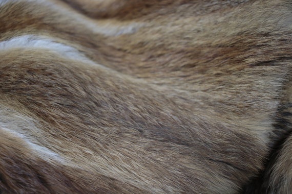 Size S | Vintage red fox fur coat {Vintage fox fu… - image 2