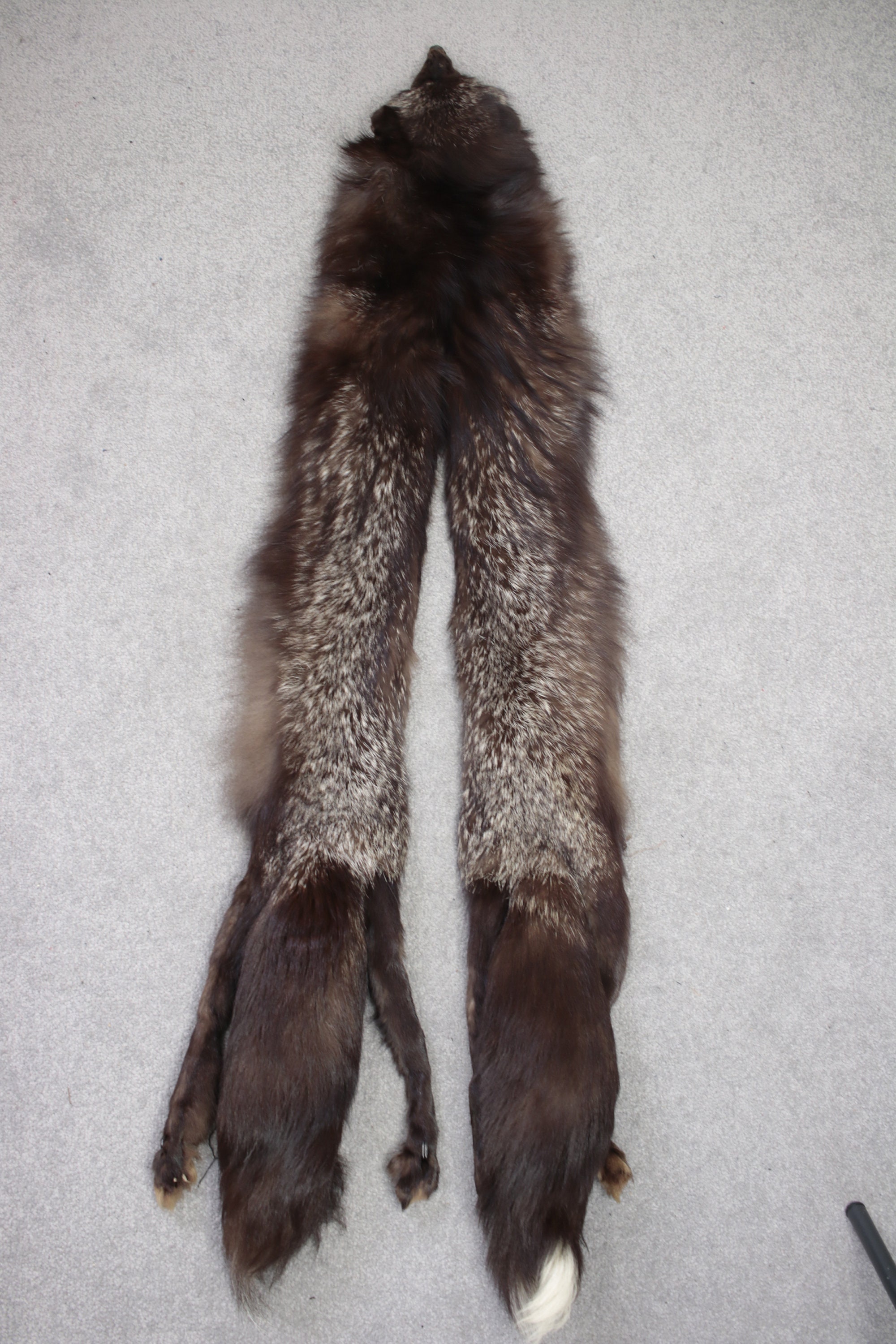 1930s 1940s Silver Fox Taxidermy Stole Vintage Fox Fur Real Etsy