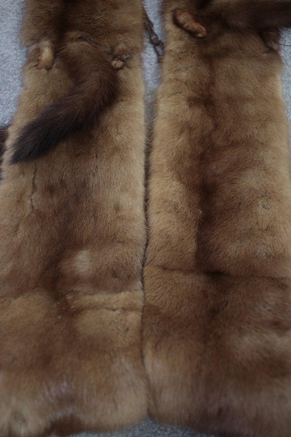 1930s-1940s mink fur stole {Vintage mink fur/real… - image 8