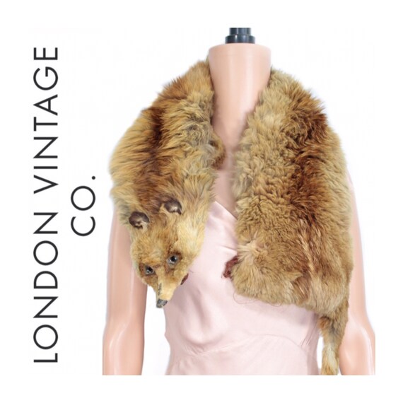 Real fox stole Outlet
