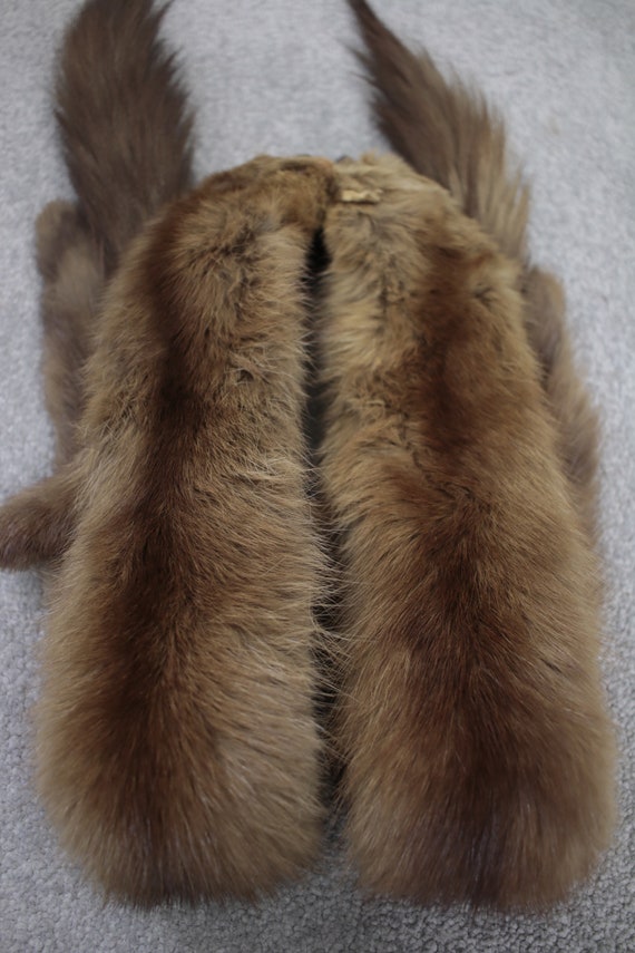 1930s-1940s sable fur stole with taxidermy {Vinta… - image 8