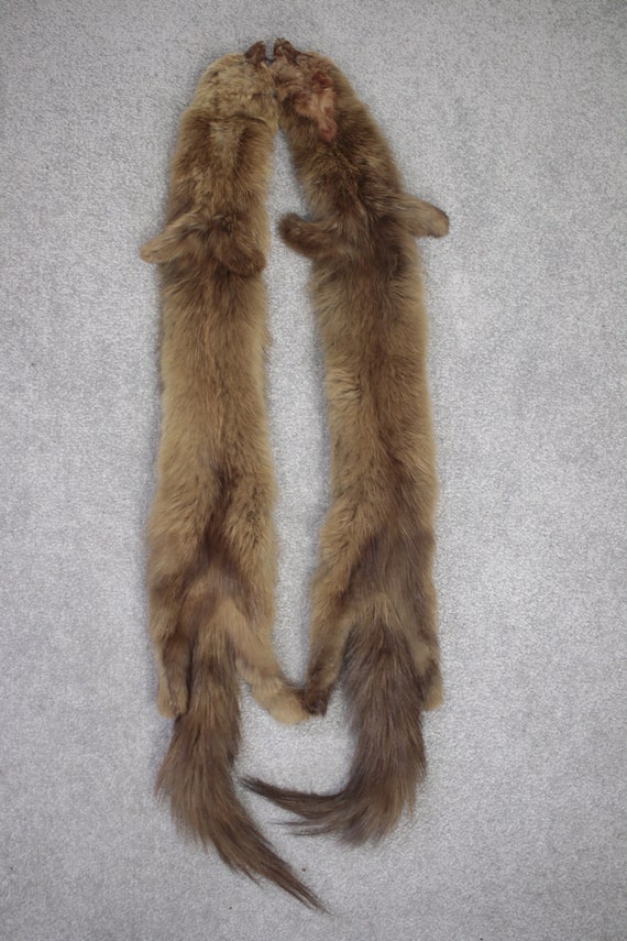 1930s-1940s sable fur stole with taxidermy {Vinta… - image 6