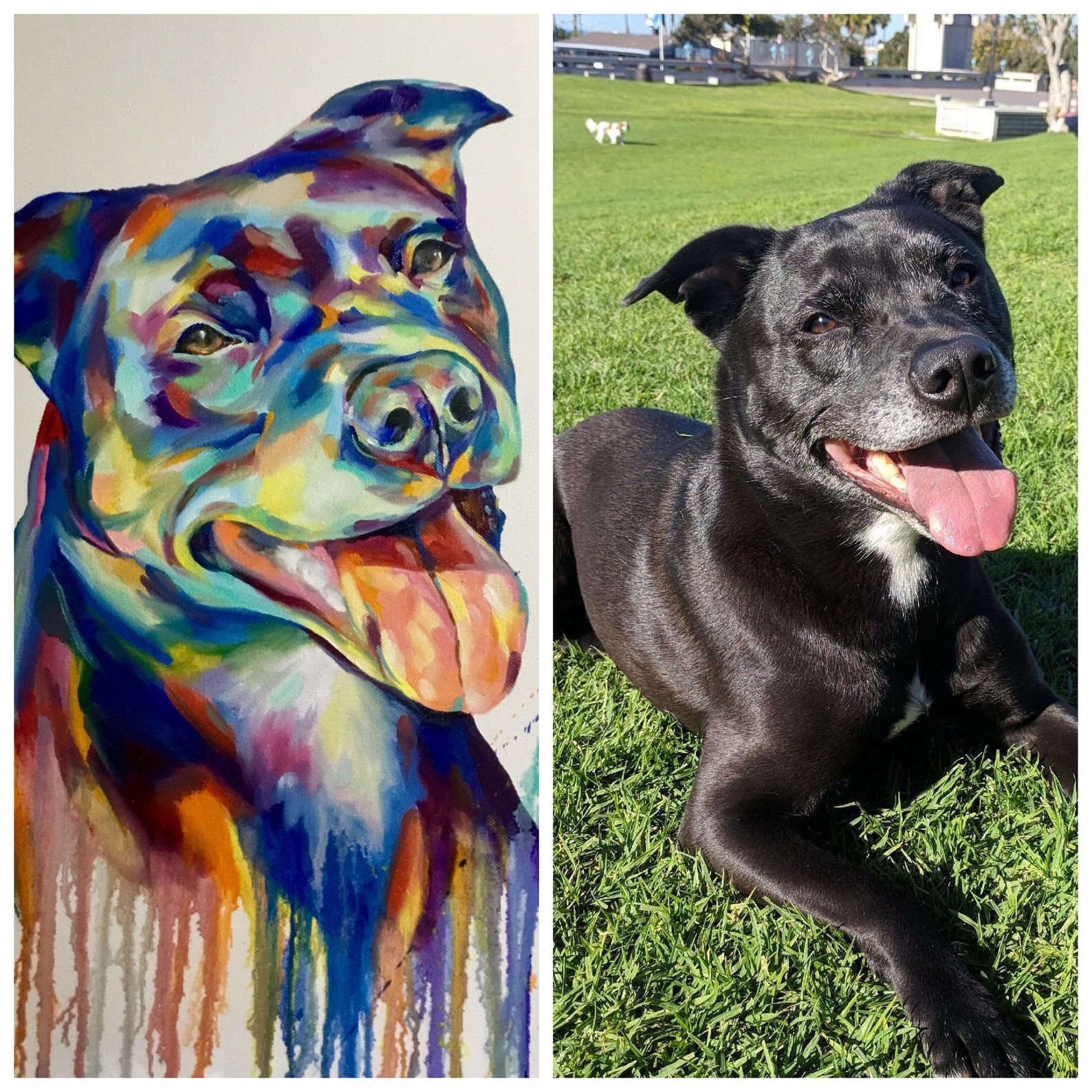 Colorful dog painting from photo Custom portrait animal Etsy