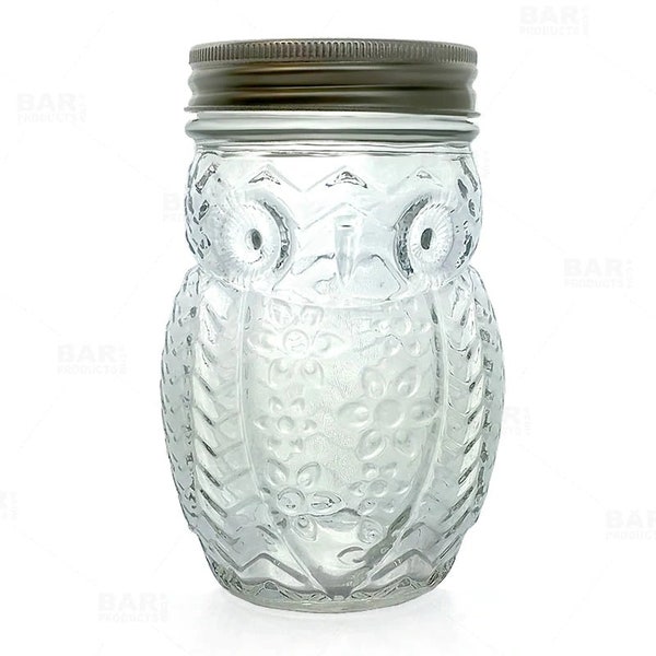 Owl 12oz Novelty Mason Jar w Lid