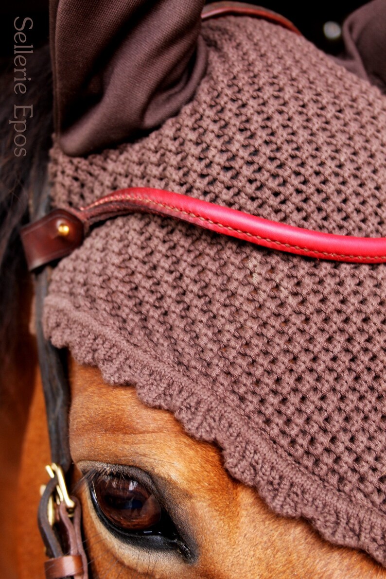 Handmade Red Horse browband