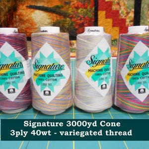 May include: Four spools of variegated Signature machine quilting thread. Each spool is wrapped with colorful thread and has a label with the brand name, thread type, and yardage. The text on the label reads "MACHINE QUILTING 100% COTTON 3,000 YDS."
