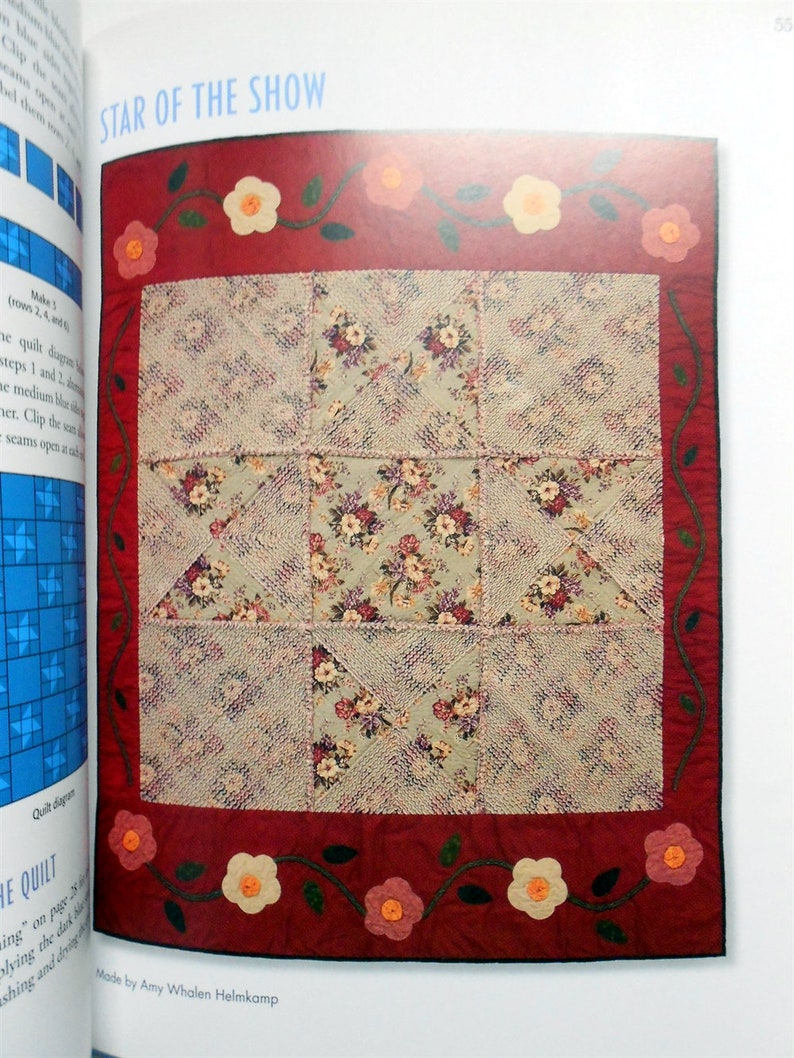 Book-Simple Chenille Quilts Block by Block Amy Whalen Helmkamp reversible That Patchwork Place/Martingale & Company 1515 image 7