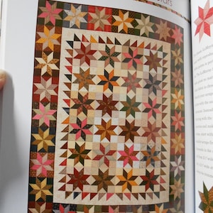 Book2334 S is for Scraps-18 great quilts Gayle Bong/picking fabrics for scrap quilting/bright/vibrant/traditional/star triangle nine patch image 5