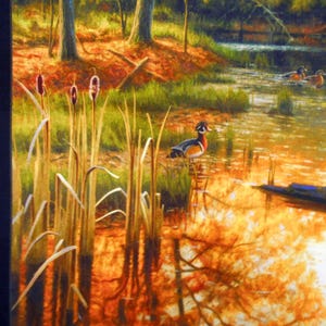 May include: A painting of a wood duck swimming in a pond with cattails in the foreground. The pond is surrounded by trees and the water is reflecting the colors of the fall foliage.
