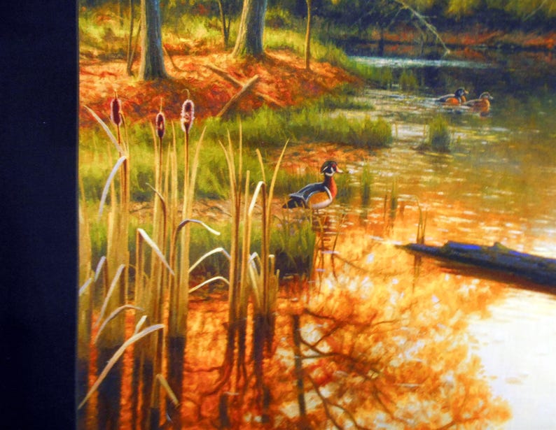 May include: A painting of a wood duck swimming in a pond with cattails in the foreground. The pond is surrounded by trees and the water is reflecting the colors of the fall foliage.