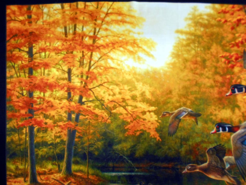 May include: A painting of a fall forest scene with colorful autumn leaves. Four wood ducks are flying in the sky. The ducks are brown, white, and blue.