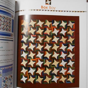 Book2334 S is for Scraps-18 great quilts Gayle Bong/picking fabrics for scrap quilting/bright/vibrant/traditional/star triangle nine patch image 7
