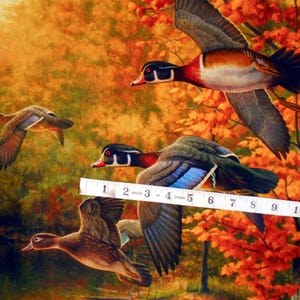 May include: A painting of four wood ducks flying in a forest setting with fall foliage. The ducks are flying in different directions, and the leaves are in shades of red, orange, and yellow.