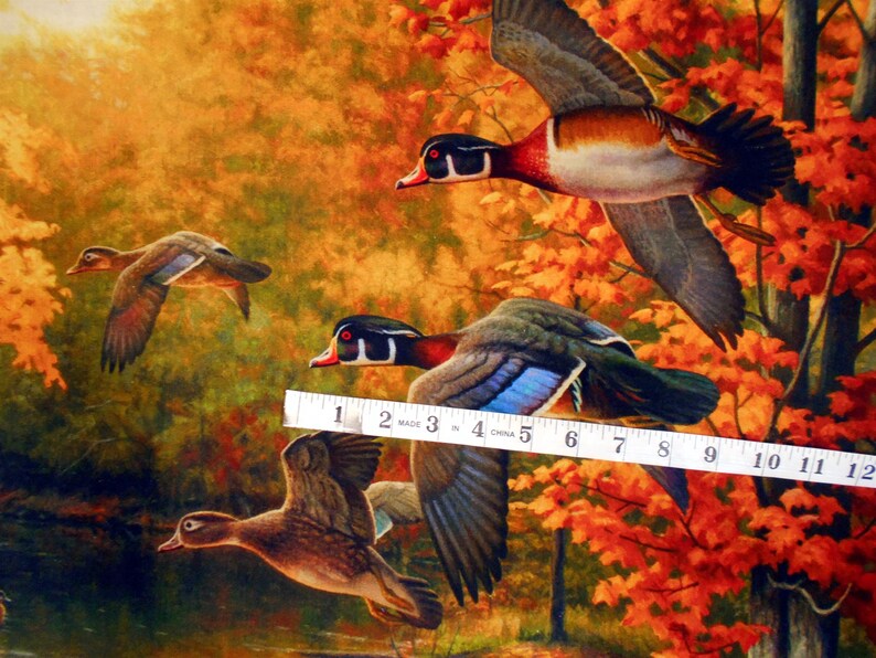 May include: A painting of four wood ducks flying in a forest setting with fall foliage. The ducks are flying in different directions, and the leaves are in shades of red, orange, and yellow.