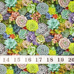 May include: A close-up of a fabric with a repeating pattern of colorful succulents. The fabric is measured with a white tape measure that reads 13 to 21 inches.