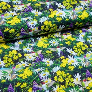 May include: A dark green fabric with a repeating pattern of white daisies, yellow flowers, and hummingbirds. The hummingbirds are in flight and have red, green, and blue feathers.