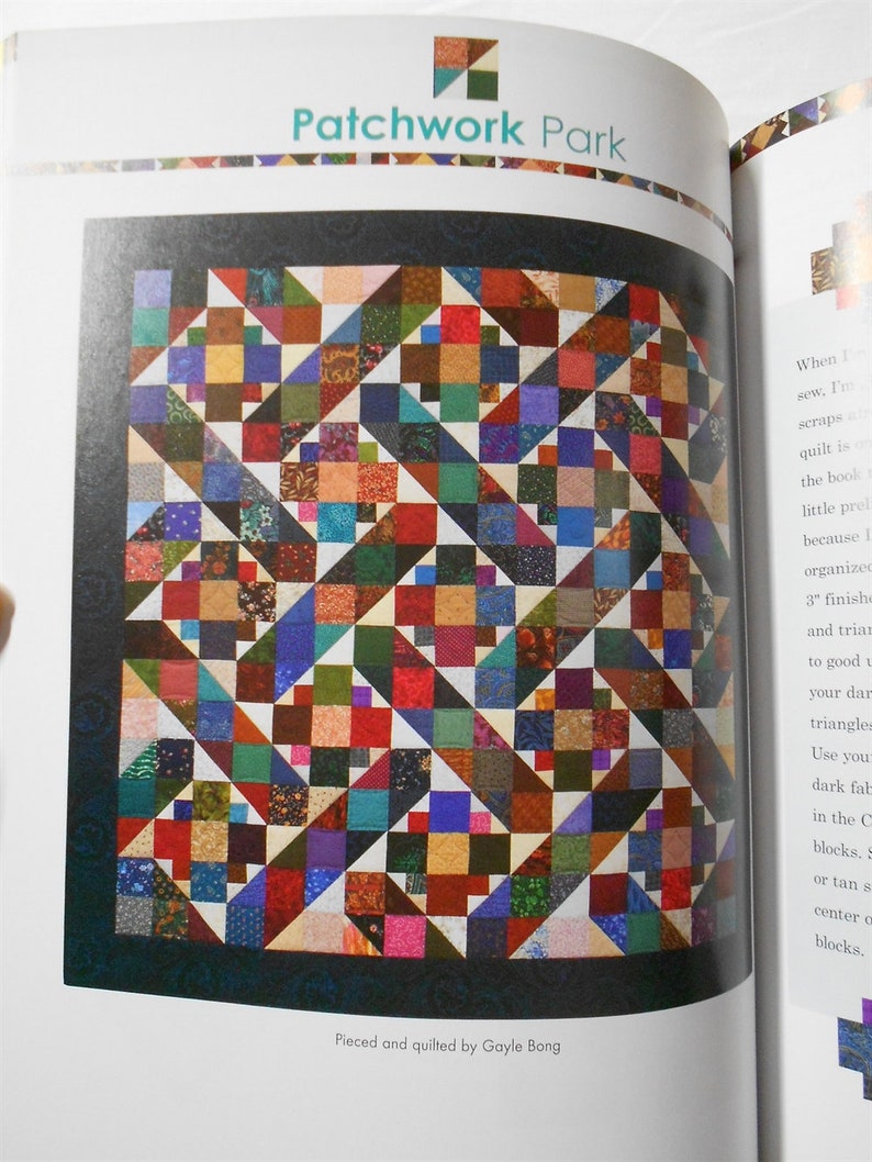 Book2334 S is for Scraps-18 great quilts Gayle Bong/picking fabrics for scrap quilting/bright/vibrant/traditional/star triangle nine patch image 6