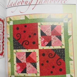 Book1864 Spotlight on Scraps-10 Pretty Quilts/Cindi Walker/develop color schemes/strip piecing/folded corners/fusible applique techniques image 10